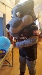 Wolfie perusing the stalls