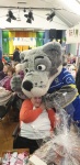 Wolfie says Hello